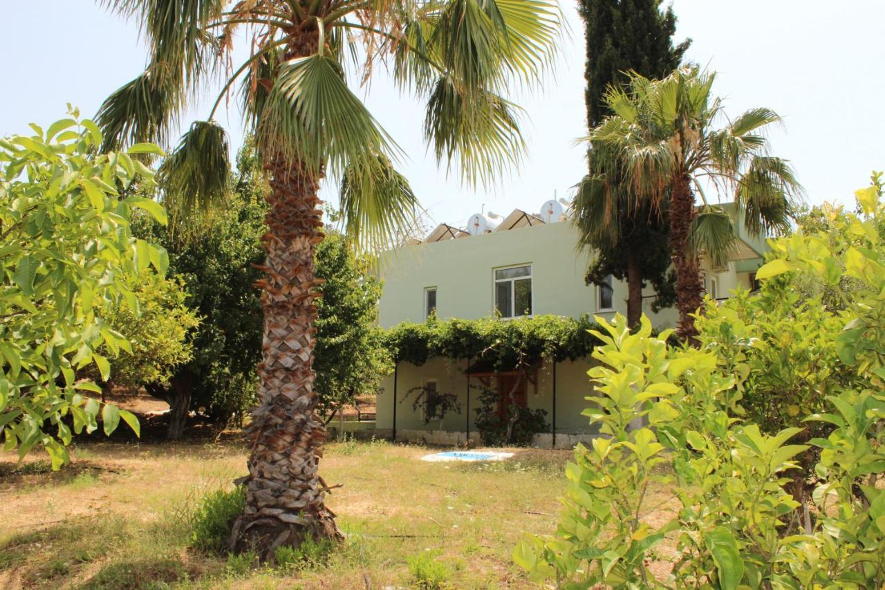 Patara Caretta Hotel Exteriör bild