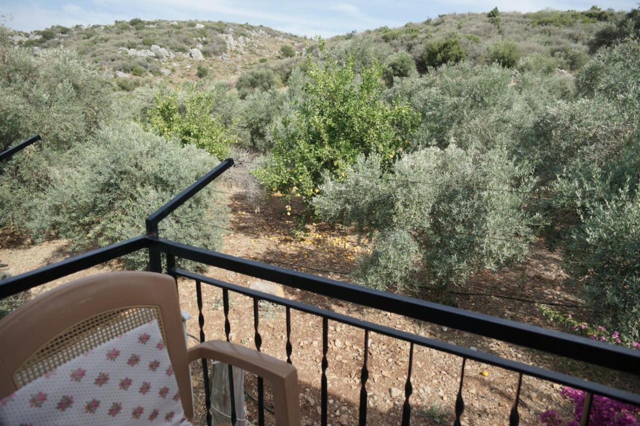 Patara Caretta Hotel Exteriör bild
